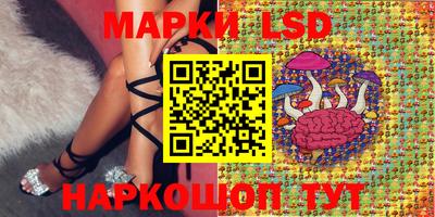 Альфа ПВП Ипатово