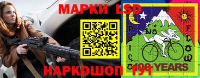 индика Ирбит