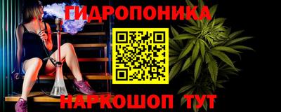 индика Ирбит