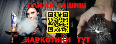 индика Ирбит